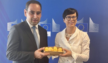 Հայկական ծիրանի առաջին խորհրդանշական խմբաքանակը ժամանել է Եվրոպական միություն. Մարթա Կոս