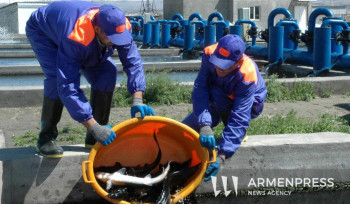 Կառավարությունը սահմանեց ԵՄ երկրներ ձուկ և ձկնամթերք արտահանող տնտեսավարողներին ներկայացվող պահանջները