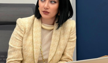 Խմում եք արտեզյան ջուր, բայց խառնում են Գառնու ջրին, որ խմելու ջրի նորման լինի․ Արփինե Հովհաննիսյան (տեսանյութ