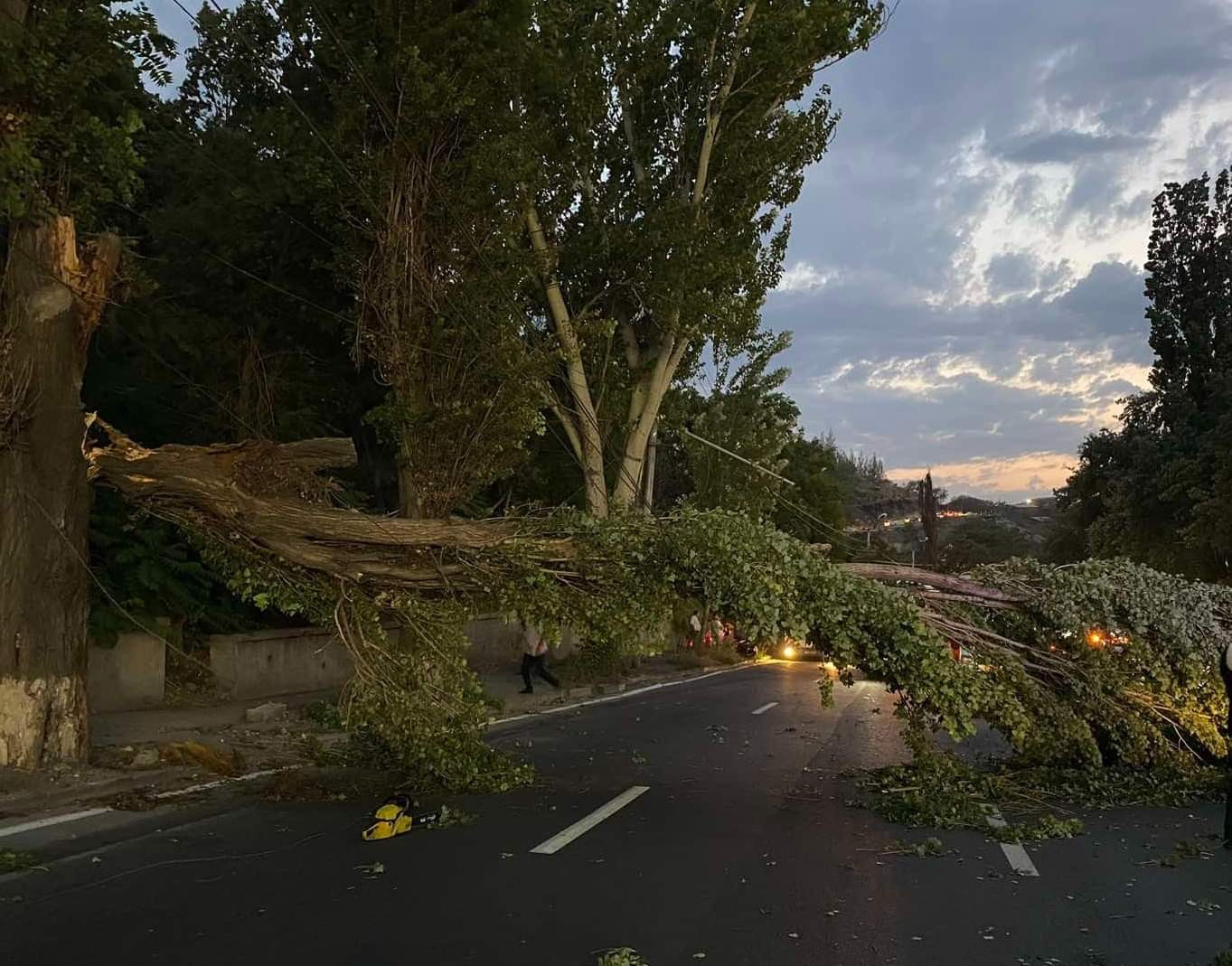 Երևանում քամու հետևանքով տապալվել են ծառեր, թուլացել և պոկվել գովազդային վահանակներ, ալեհավաքներ, տանիքների ծածկեր, սյուներ (լուսանկարներ)