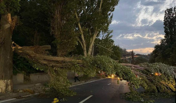 Երևանում քամու հետևանքով տապալվել են ծառեր, թուլացել և պոկվել գովազդային վահանակներ, ալեհավաքներ, տանիքների ծածկեր, սյուներ (լուսանկարներ)